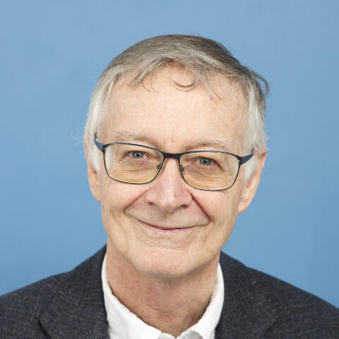 Prof. Dr. Antoine Flahault