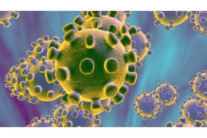 Coronavirus (COVID-19) disease: Information sources